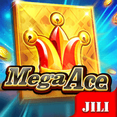 Mega Ace Earnings